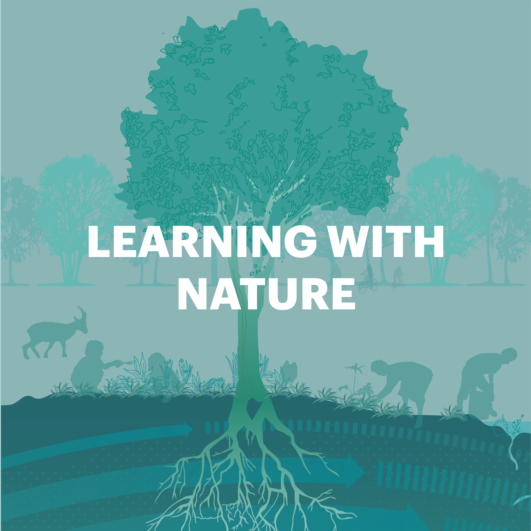 What if we applied nature’s principles to encourage learning and help us reconnect with our inherent natural systems to promote a sustainable future for all?